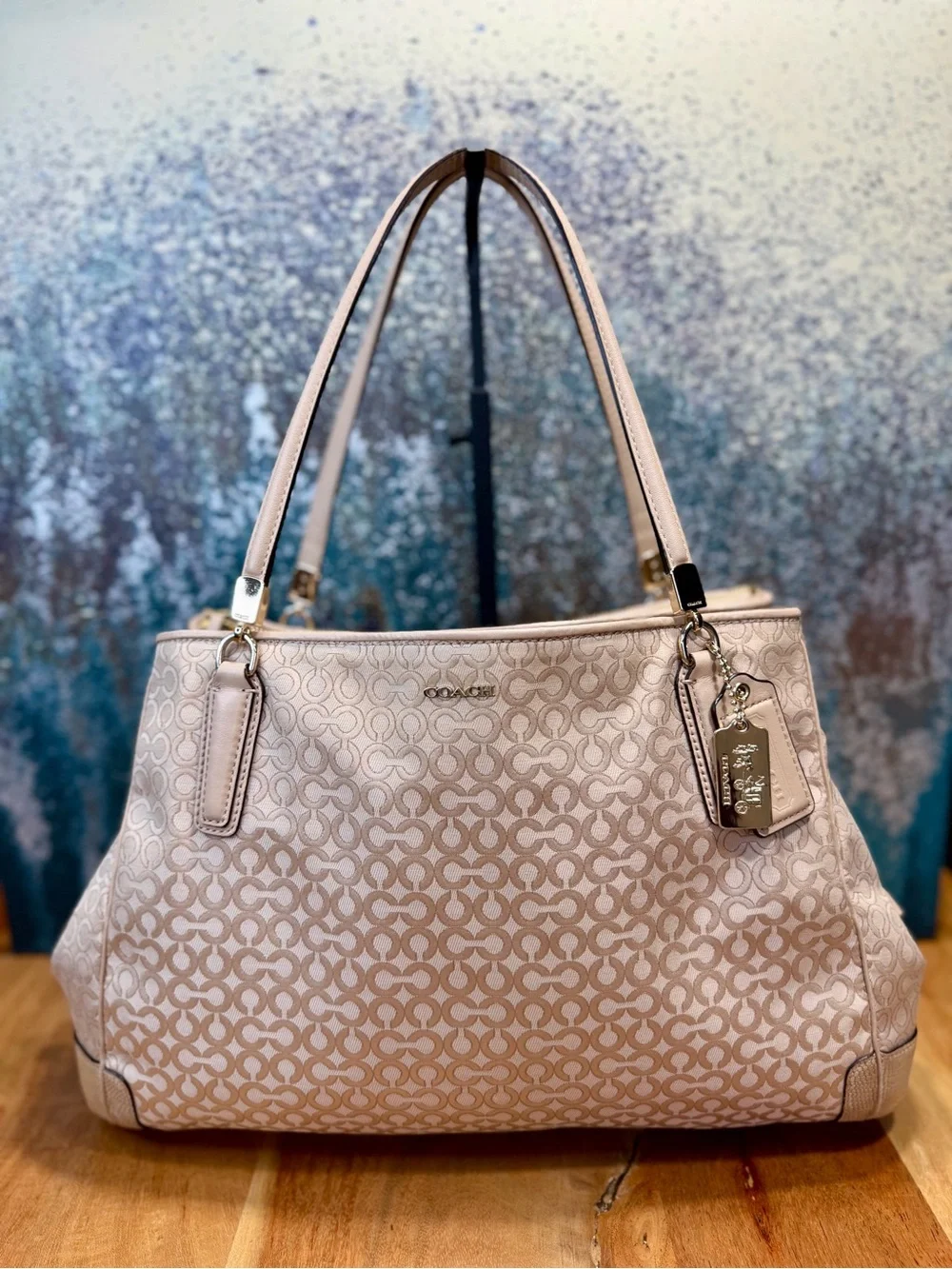 Coach 2013 Soft Glam Op Art Pearlescent Carryall Bag EUC